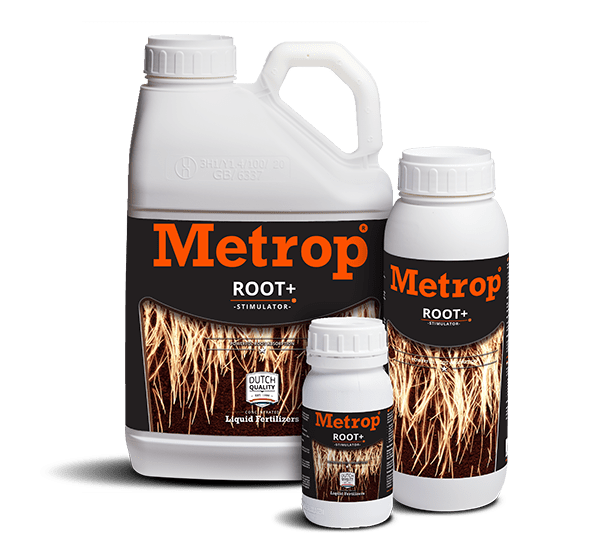 best root stimulator for succulents METROP BEST ROOT GROWTH STIMULATOR FOR PLANT